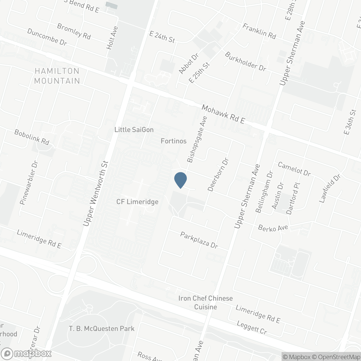 24 NEWCASTLE COURT, Hamilton, Ontario L8V 0A6